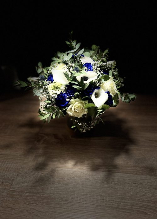 2024-01-21-21.48 - Billede 21.01.2024 21.48.47